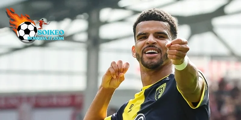 Bản năng săn bàn thượng thừa của Dominic Solanke.