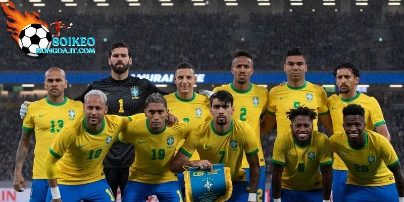 Brazil và các đối thủ trong bảng C World cup 2026