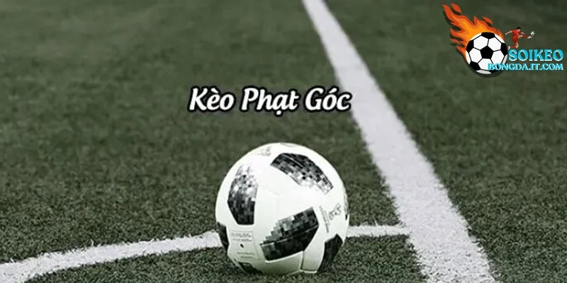 Các loại kèo cược phạt góc phổ biến hiện nay