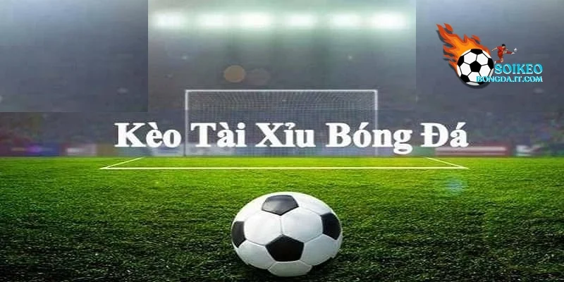 Các yếu tố then chốt ảnh hưởng đến kèo tài xỉu