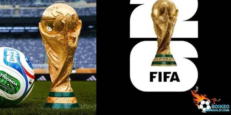 Lịch thi đấu chi tiết các đội bóng trong bảng L