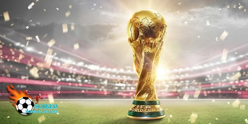 Chi tiết Lịch thi đấu Bảng E World Cup 2026