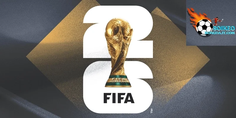 Chi tiết và đầy đủ về lịch thi đấu bảng F World Cup 2026