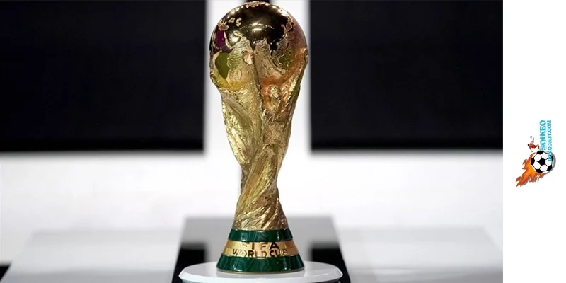 Dự đoán bảng đấu E World cup 2026