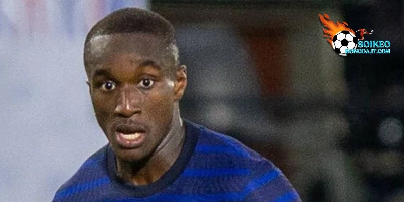 Hành trình phát triển sự nghiệp của ngôi sao người Pháp