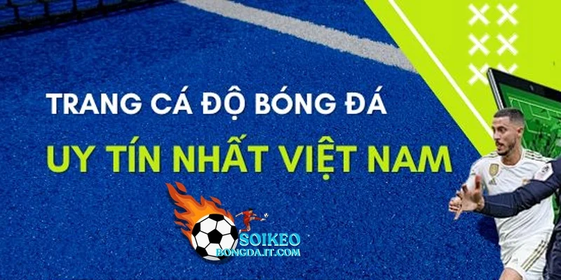 Cơ sỡ để phán xét một trang web soi kèo bóng đá uy tín