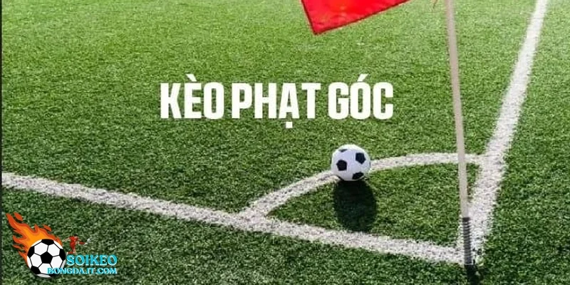 Lý do kèo này luôn là tâm điểm của mọi trận đấu.