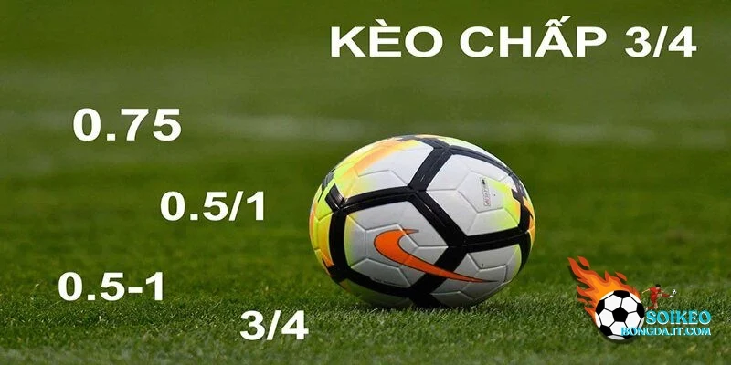 Các điều cần lưu ý khi đặt kèo chấp trực tuyến