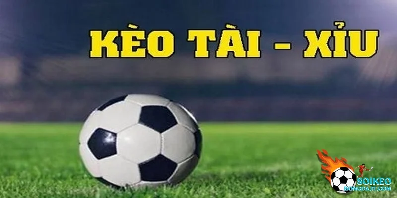 Một vài bí kíp tài xỉu cho người mới bắt đầu