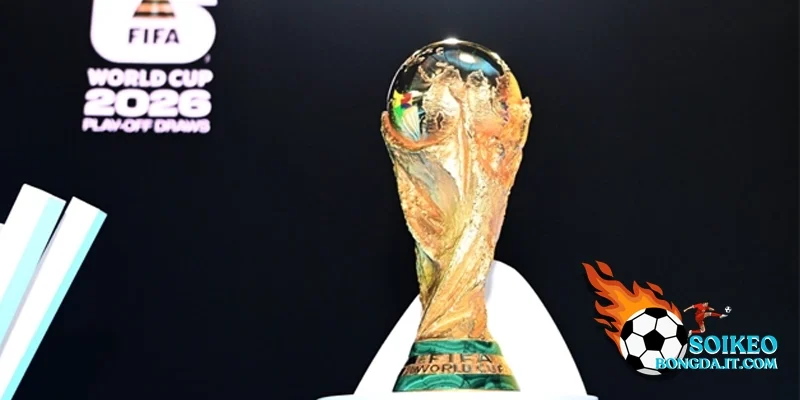 Nhận định bảng C World Cup 2026