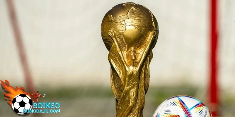 Dự đoán về các trận đấu bảng F