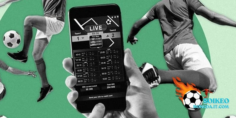 Phân tích độ tin cậy của app dự đoán Tài Xỉu