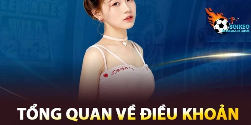 Sơ lược Khoản Sử Dụng của Soi kèo bóng đá