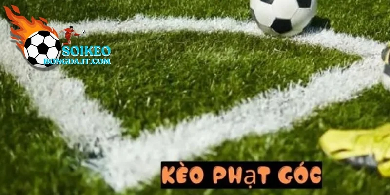 Nghiên cứu sơ về kèo cược phạt góc