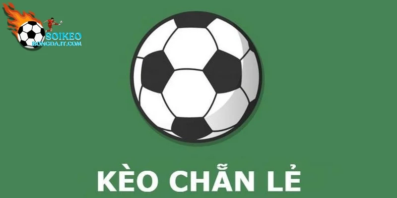 Tìm hiểu Kèo chẵn lẻ là gì?